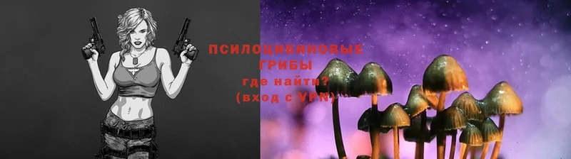 Псилоцибиновые грибы Cubensis  Ворсма 